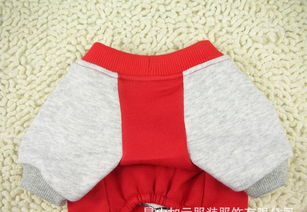 寵物服裝批發指南 探尋狗狗圓領運動衛衣的商機